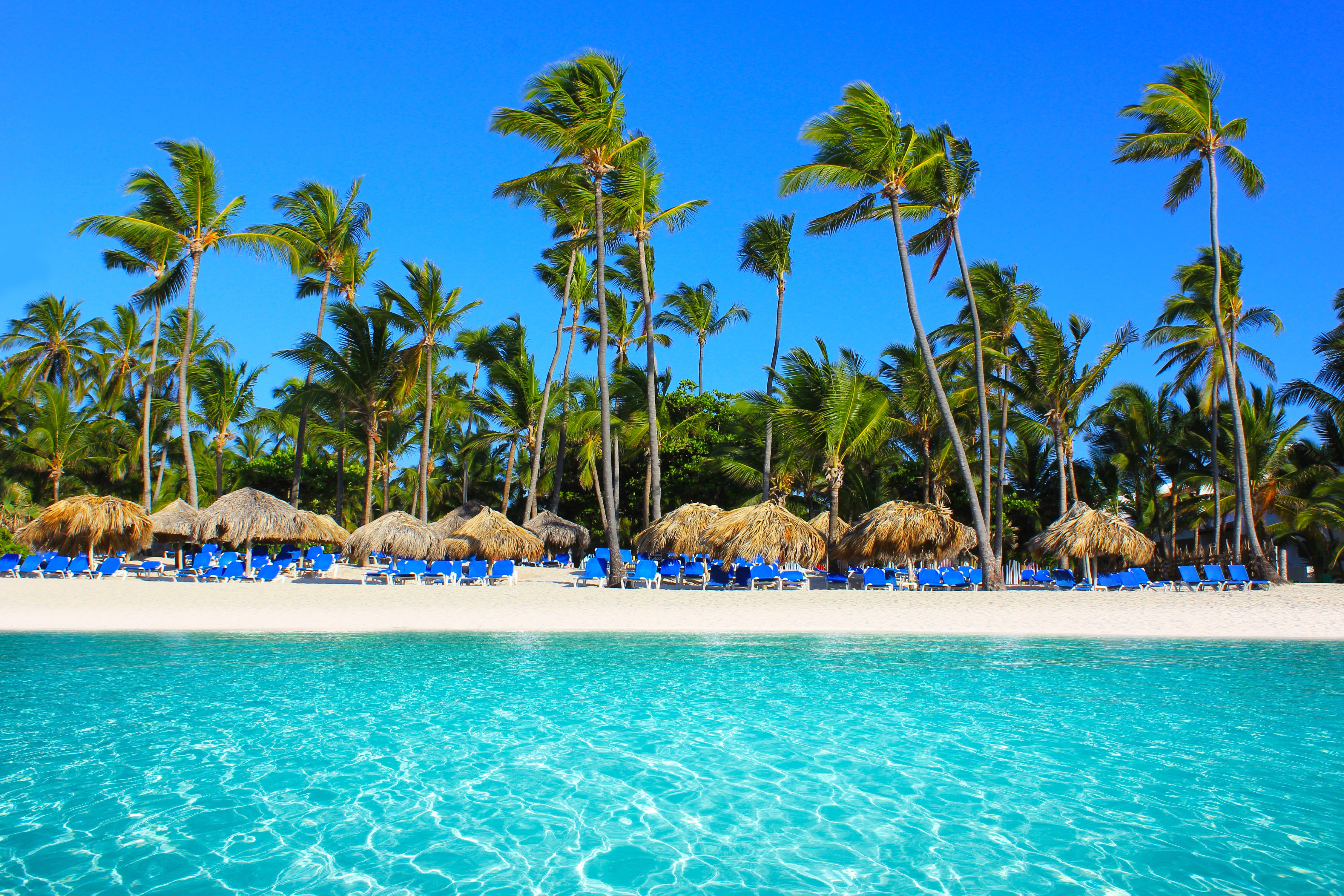 144,220 Cheap Flights To Punta Cana In 2024 | Momondo